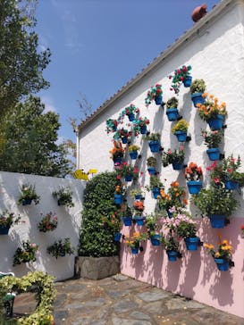 志摩スペイン村パルケエスパーニャに投稿された画像（2024/8/18）