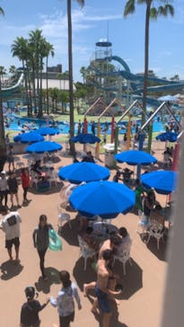 ナガシマスパーランドに投稿された画像（2024/8/18）