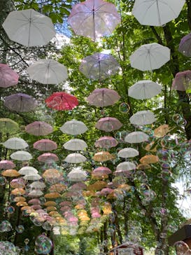 ムーミンバレーパークに投稿された画像（2024/8/18）