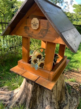 ムーミンバレーパークに投稿された画像（2024/8/18）