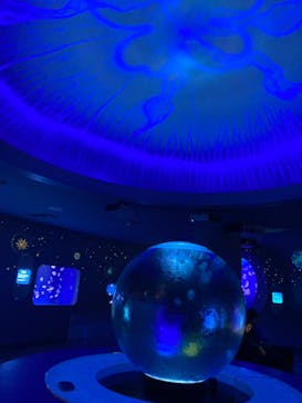 新江ノ島水族館に投稿された画像（2024/8/18）