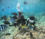 沖縄マリンサービス碧に投稿された画像（2024/8/18）