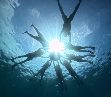 西表島 ADVENTURE PiPi（アドベンチャーピピ）に投稿された画像（2024/8/18）