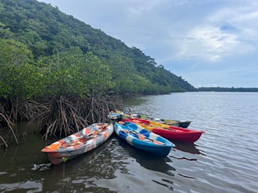 西表島 ADVENTURE PiPi（アドベンチャーピピ）に投稿された画像（2024/8/18）