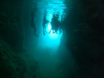 武藤潜水に投稿された画像（2024/8/18）