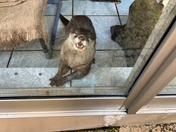 下田海中水族館に投稿された画像（2024/8/18）