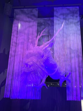 滋賀県立琵琶湖博物館に投稿された画像（2024/8/18）