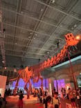 巨大恐竜展2024に投稿された画像（2024/8/18）
