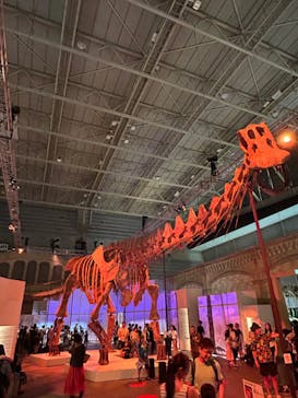 巨大恐竜展2024に投稿された画像（2024/8/18）
