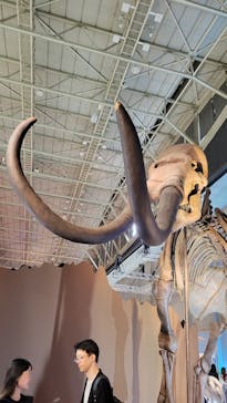 巨大恐竜展2024に投稿された画像（2024/8/18）