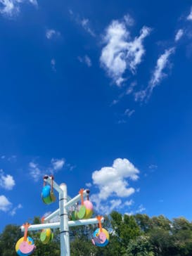 東武動物公園に投稿された画像（2024/8/18）