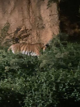 多摩動物公園に投稿された画像（2024/8/18）