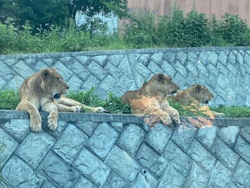 多摩動物公園に投稿された画像（2024/8/18）
