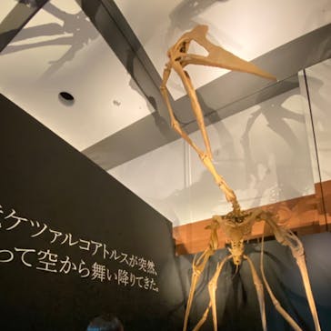 DinoScience 恐竜科学博 ～ララミディア大陸の恐竜物語～ 2024@OSAKAに投稿された画像（2024/8/18）