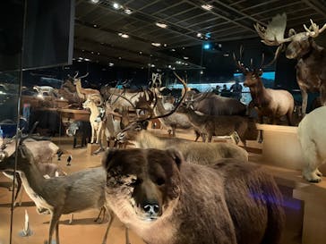 国立科学博物館に投稿された画像（2024/8/18）