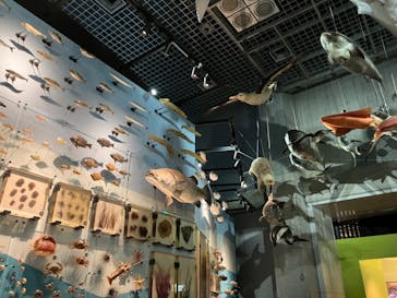 国立科学博物館に投稿された画像（2024/8/18）