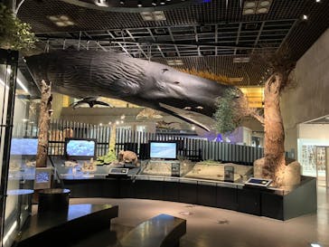 国立科学博物館に投稿された画像（2024/8/18）