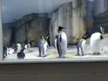 仙台うみの杜水族館に投稿された画像（2024/8/18）