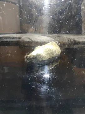 仙台うみの杜水族館に投稿された画像（2024/8/18）