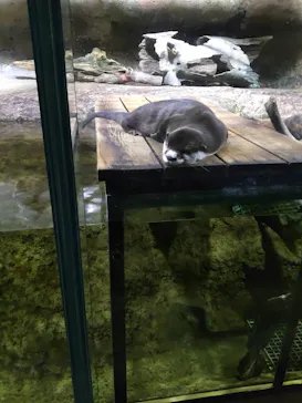 仙台うみの杜水族館に投稿された画像（2024/8/18）