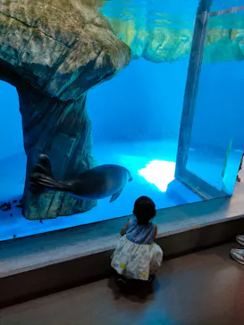 仙台うみの杜水族館に投稿された画像（2024/8/18）