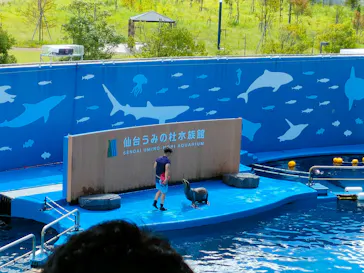 仙台うみの杜水族館に投稿された画像（2024/8/18）