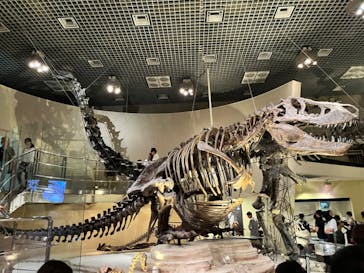 国立科学博物館に投稿された画像（2024/8/18）