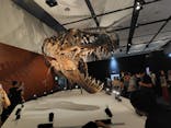 DinoScience 恐竜科学博 ～ララミディア大陸の恐竜物語～ 2024@OSAKAに投稿された画像（2024/8/18）