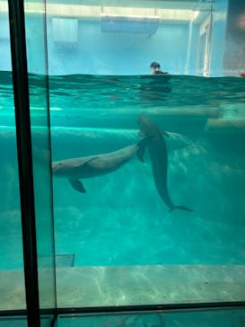 マリンワールド海の中道に投稿された画像（2024/8/18）