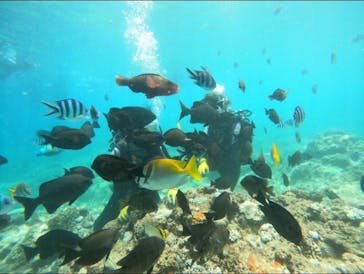 武藤潜水に投稿された画像（2024/8/18）