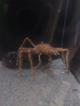 竹島水族館に投稿された画像（2024/8/18）