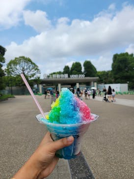 恩賜上野動物園に投稿された画像（2024/8/18）