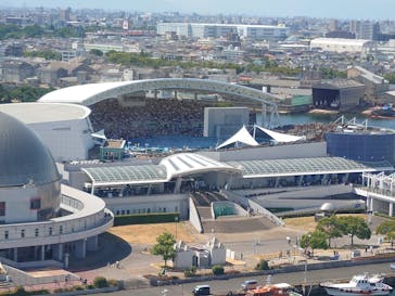 名古屋港水族館に投稿された画像（2024/8/18）