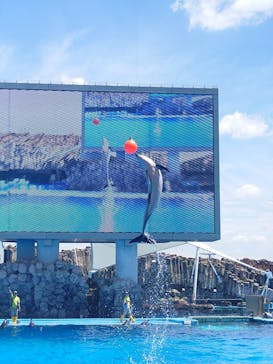 名古屋港水族館に投稿された画像（2024/8/18）