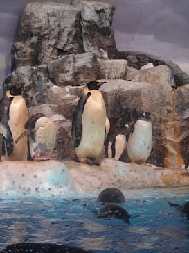 名古屋港水族館に投稿された画像（2024/8/18）