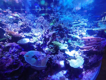 名古屋港水族館に投稿された画像（2024/8/18）