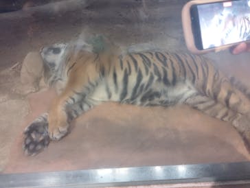 名古屋市東山動植物園に投稿された画像（2024/8/18）