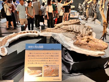 福井県立恐竜博物館に投稿された画像（2024/8/18）