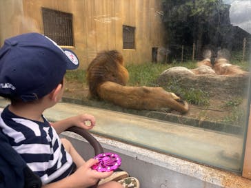 東武動物公園に投稿された画像（2024/8/18）