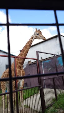 那須サファリパークに投稿された画像（2024/8/18）