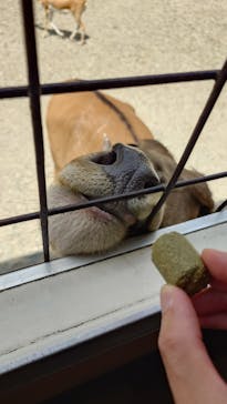 那須サファリパークに投稿された画像（2024/8/18）