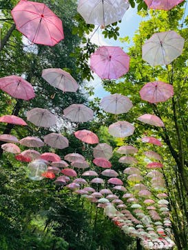 ムーミンバレーパークに投稿された画像（2024/8/18）