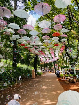 ムーミンバレーパークに投稿された画像（2024/8/18）