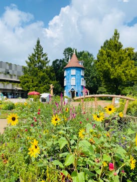 ムーミンバレーパークに投稿された画像（2024/8/18）