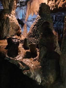 あぶくま洞に投稿された画像（2024/8/18）