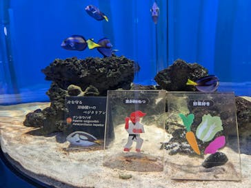 NIFREL（ニフレル）に投稿された画像（2024/8/18）