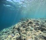 沖縄マリンサービス碧に投稿された画像（2024/8/18）