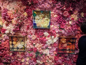 NARA KINGYO MUSEUMに投稿された画像（2024/8/18）