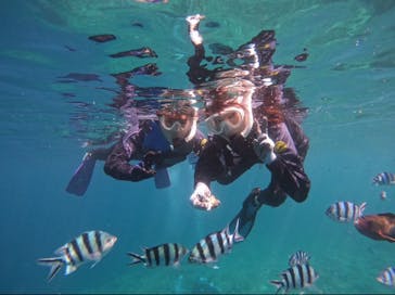 武藤潜水に投稿された画像（2024/8/18）