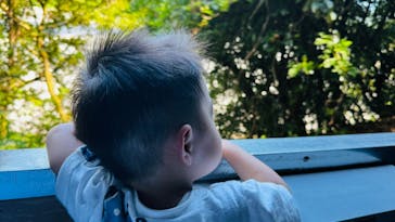 大井川鐵道株式会社に投稿された画像（2024/8/18）